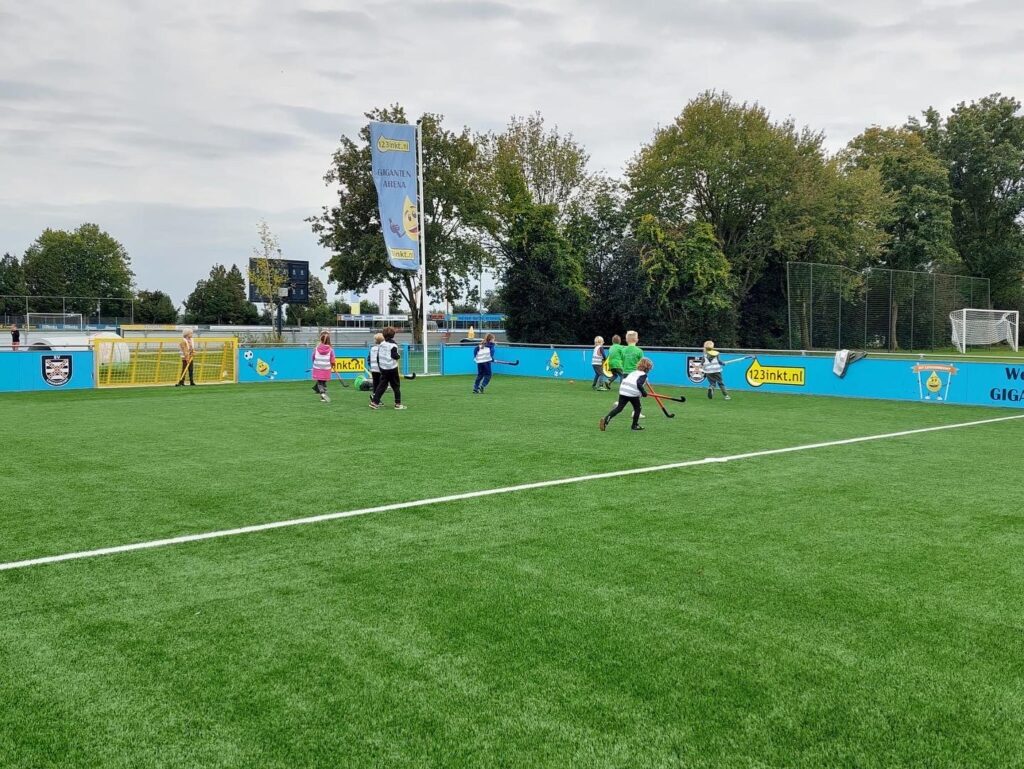 BSO Hallinckveld