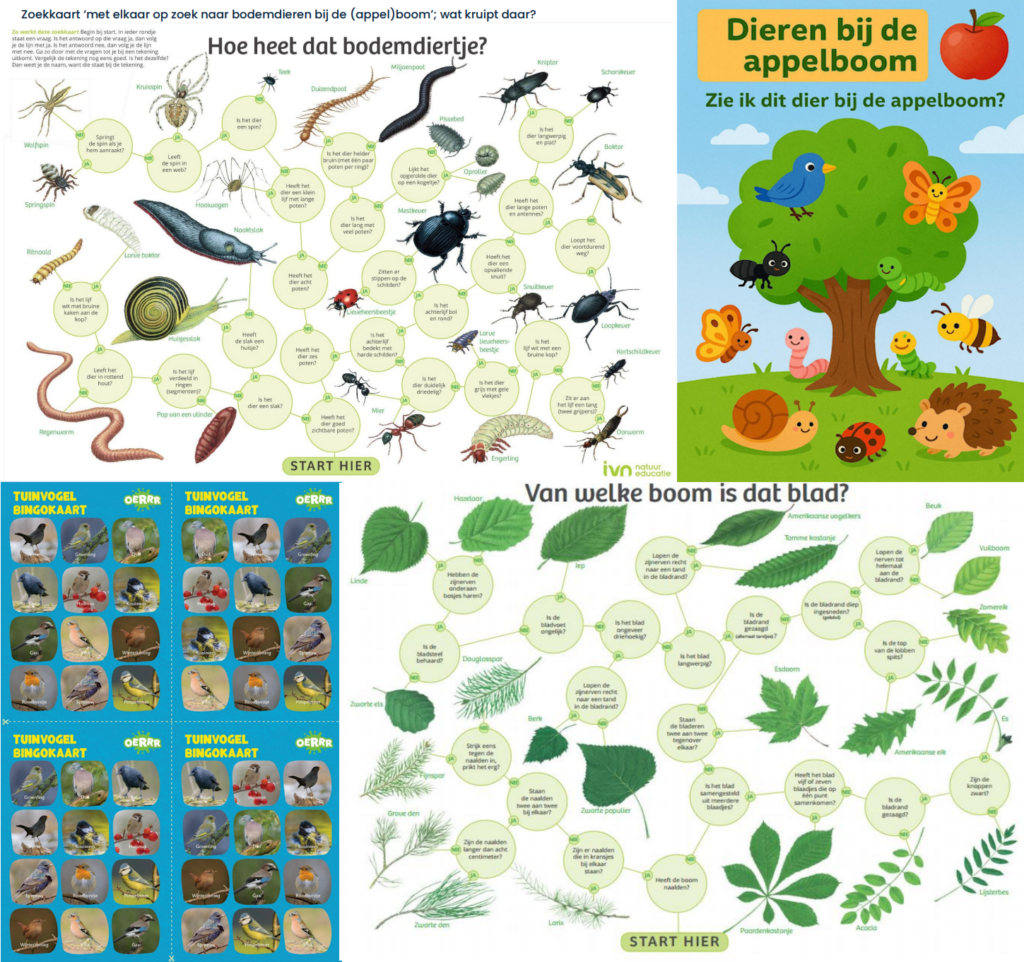 Dag van de groene kinderopvang 2025 activiteiten